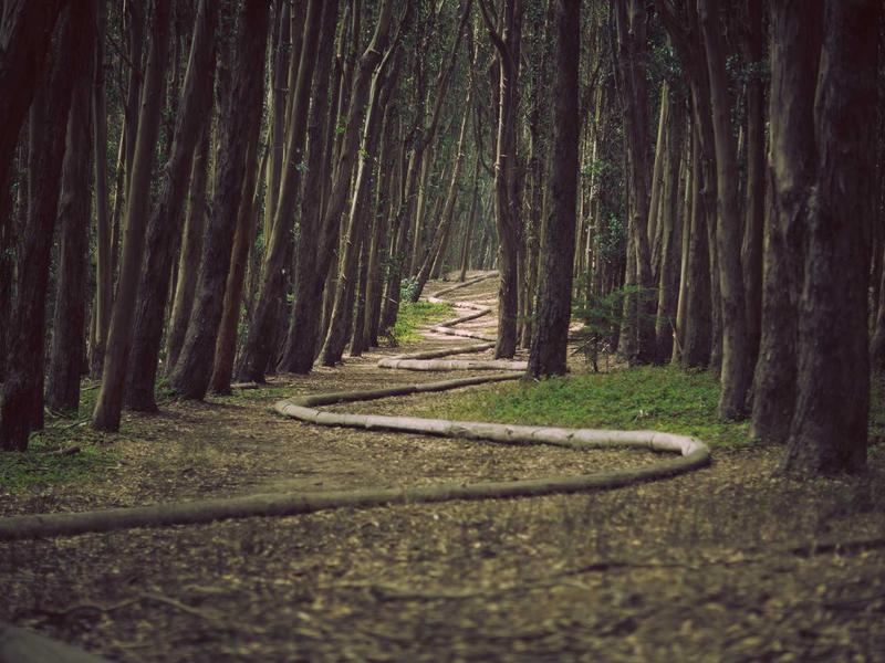 Emilia Tavárez Moca